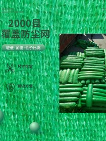辽源2000目防尘绿网